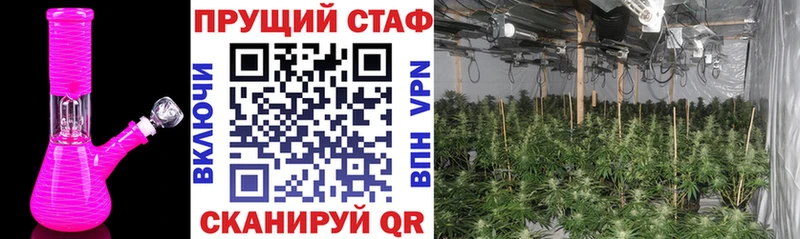 Цена Ветлуга ГАШ Героин Галлюциногенные грибы А ПВП Конопля Мефедрон КОКАИН