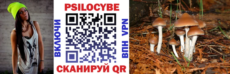 Галлюциногенные грибы Psilocybine cubensis  Ветлуга 